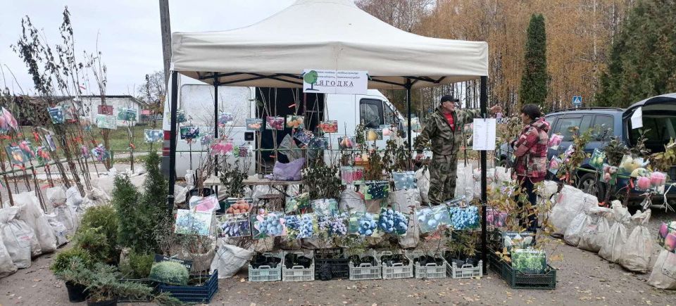 В агрогородке Техтин прошла осенняя сельскохозяйственная ярмарка