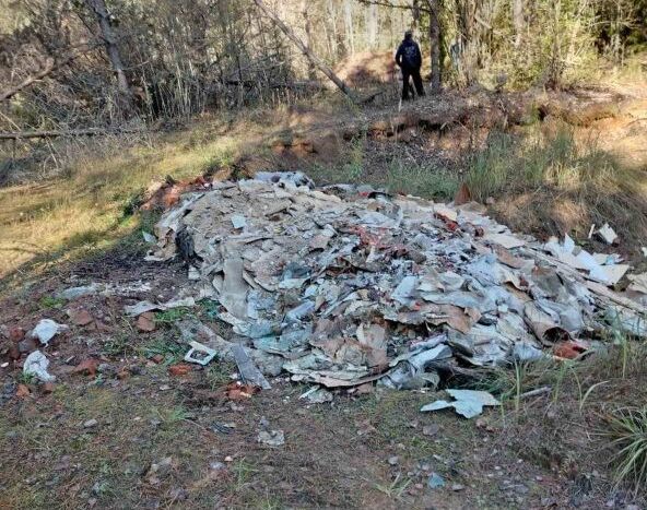 Житель Белыничского района вывез мусор в лес. Узнали сумму штрафа