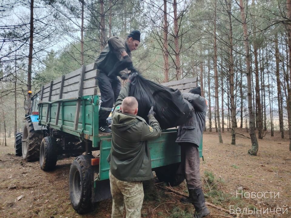 Работники Белыничского лесничества ликвидировали несанкционированную стихийную свалку